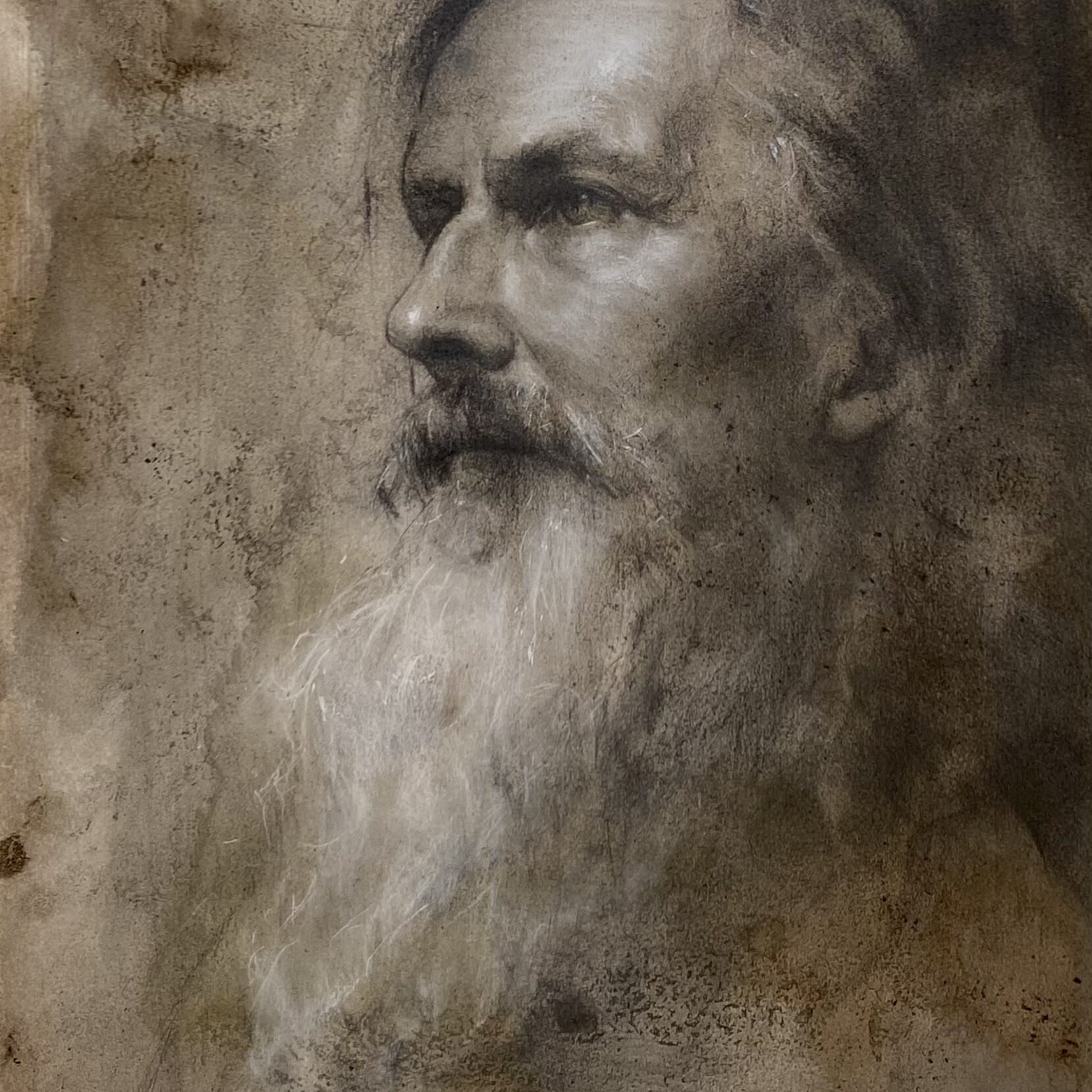 Laura Arenson, Before Life, 83239