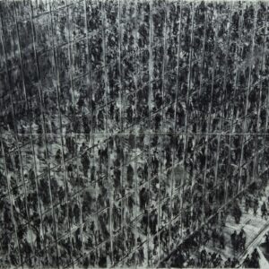 Simon Nicholas - Atrium