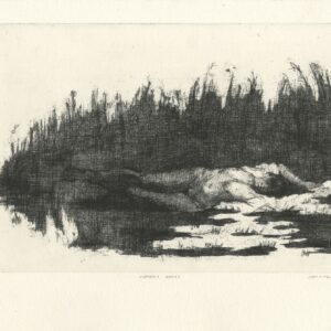 Caoimhe Dalton - Hungry Grass